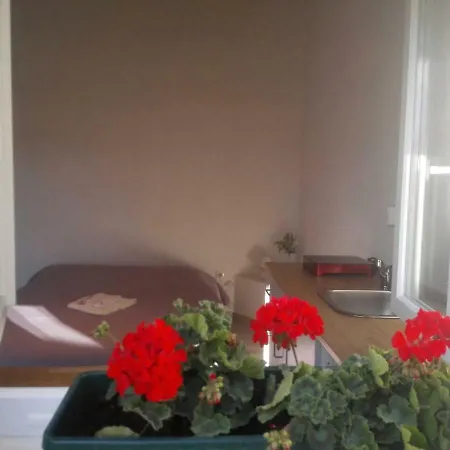 Appartement Old Stone Luka *